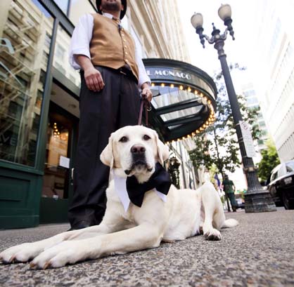 The Future of Hospitality Pet Target Group