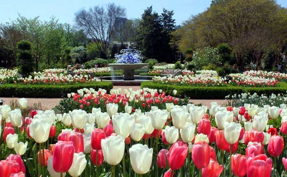 LUX Travel: Breathtaking Botanical Gardens | LadyLUX - Online Luxury ...