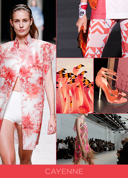 Spring 2014 Color Trends Cayenne