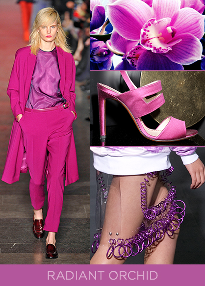 Spring 2014 Color Trend Radiant Orchid