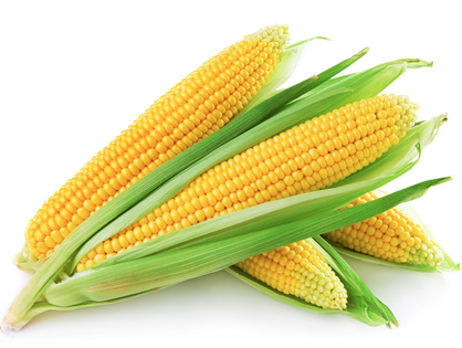 Foods you should never eat: field corn