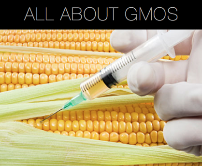 gmo2_1368811728.png