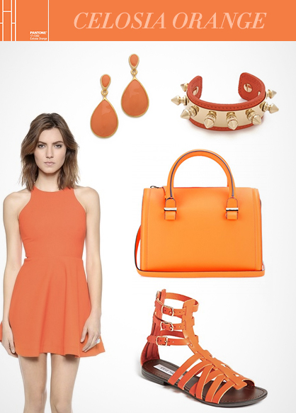 Spring 2014 Color Trend: Celosia Orange