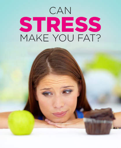 stress_fat.jpg