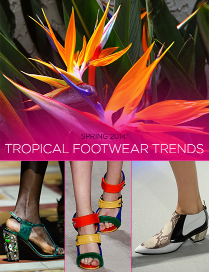 tropical_footwear_trends_1386301171.jpg