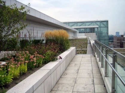 Eco-Friendly Farms In The Sky