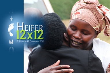 Heifer 12x12: 12 months, 12 countries in 2012