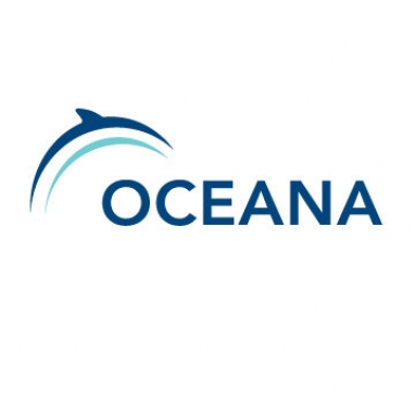 Radar: Offshore Drilling, Green Hotels and Urban Gardening
