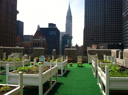 Eco-Friendly Farms In The Sky