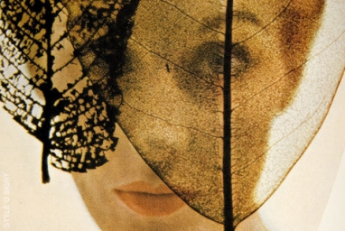 LUX Appeal: The New Face of Lace