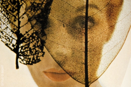 dd2fw10_lo014ar_1242116951.jpg
