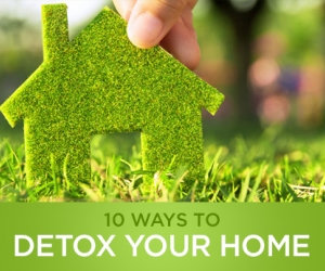 Wellness Wednesday: 10 Ways to Detox Your Home