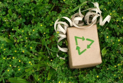 Go Green and Eco-Friendly This Holiday Season