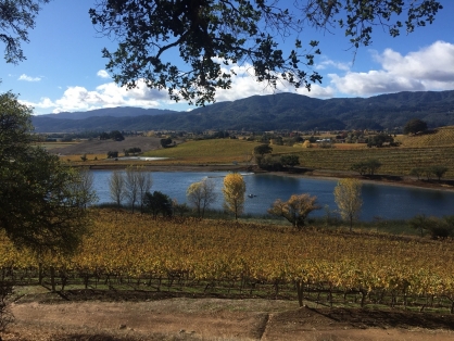 7 Bespoke Wine Tasting Experiences in Napa Valley